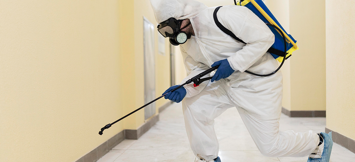 Professional pest control service in Lagos (Lekki and Ikoyi) by HygienePro treating home for cockroaches, bedbugs, and other pests