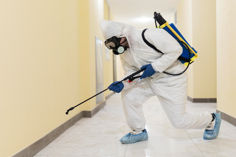 How Often Should You Fumigate Your Home in Nigeria? – Regular Fumigation Schedule in Lagos